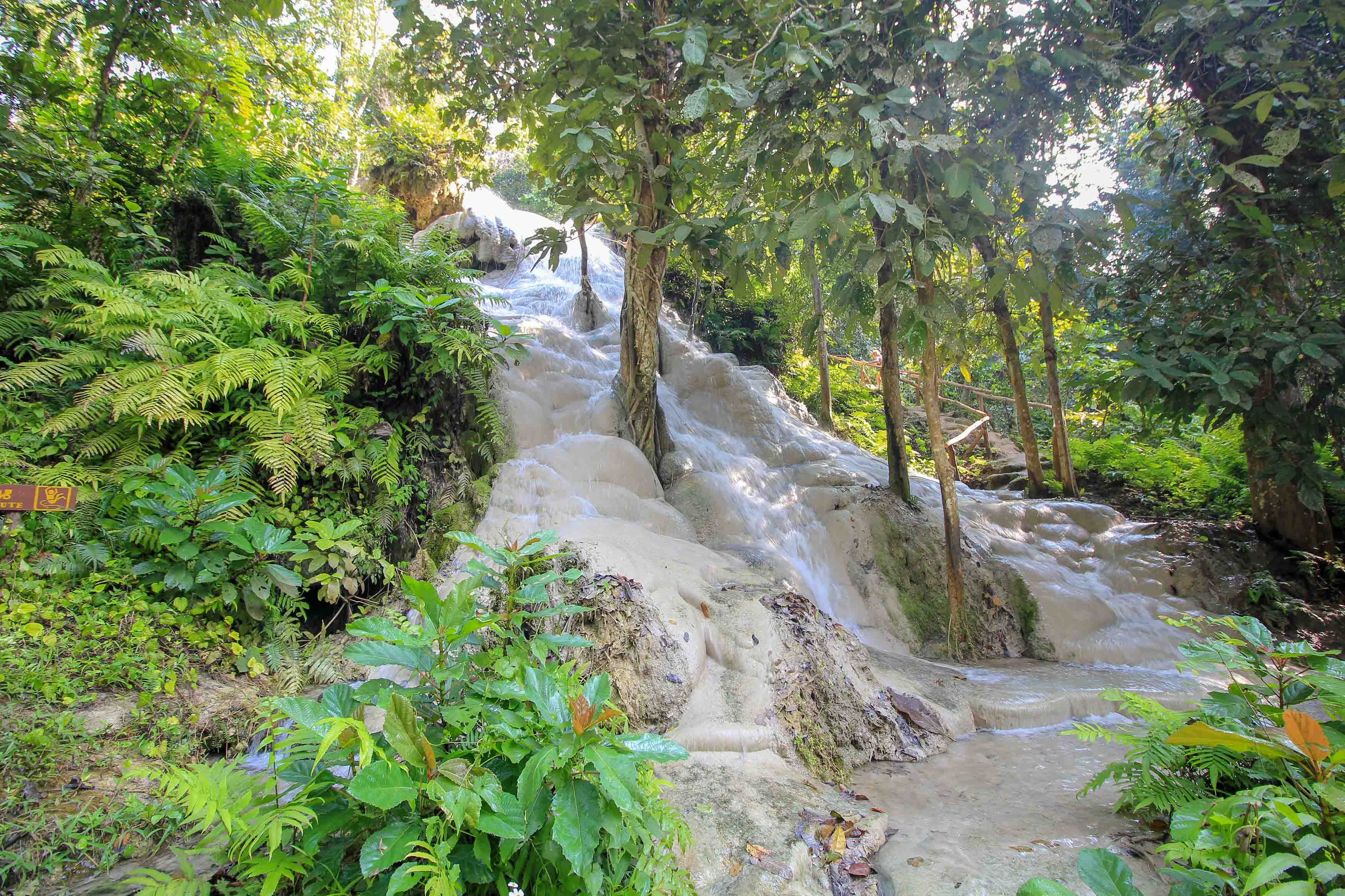 Sticky Waterfall (Bua Tong Waterfalls) in Chiang Mai - PlacesofJuma