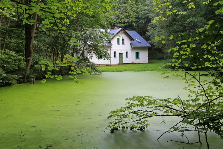 Bohemian Paradise, Cesky Raj