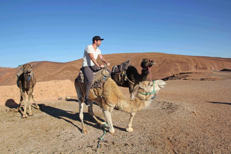 High Atlas, camel ride, self drive