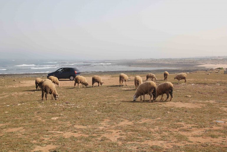 Alantic Coast - Beach, self drive journey