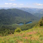 Nationalpark Biogradska Gora, Montenegro