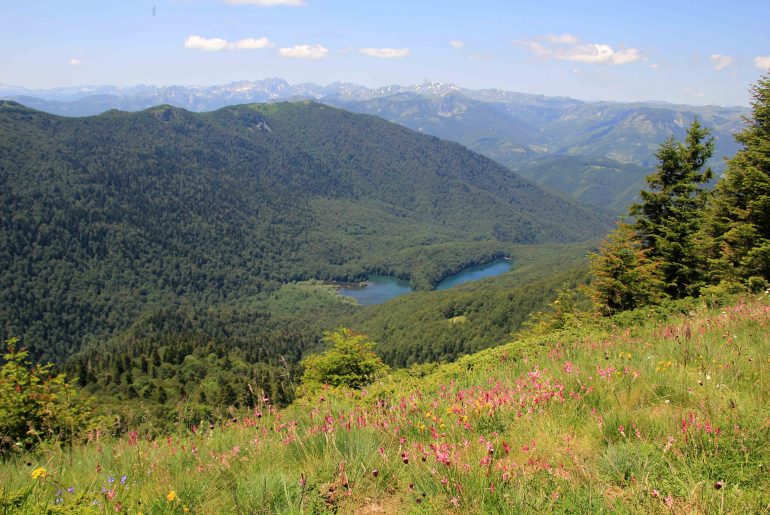 Biogradska Gora National Park, Montenegro