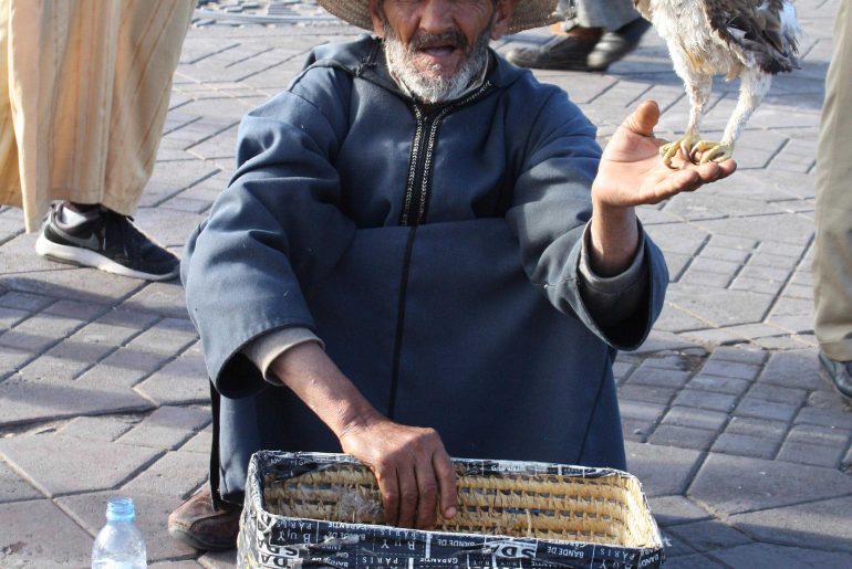 Djemaa El Fna, Marrakesh, Marrakech