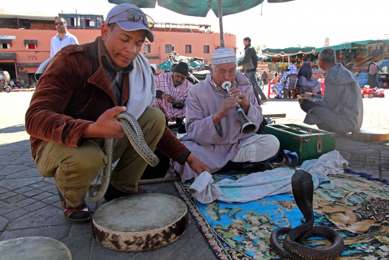 Morocco, Marrakech, Snake Charmers,