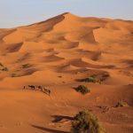 Sahara, Wüstentour, Kamelreiten, Merzouga, Marokko