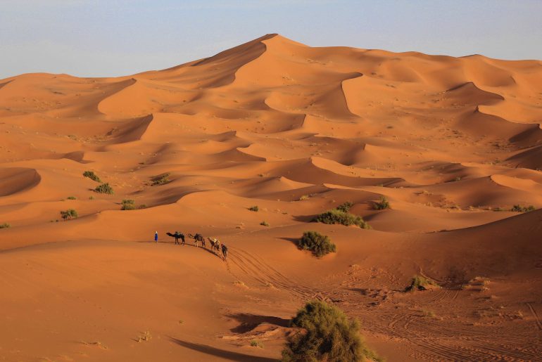 Sahara, Wüstentour, Kamelreiten, Merzouga, Marokko