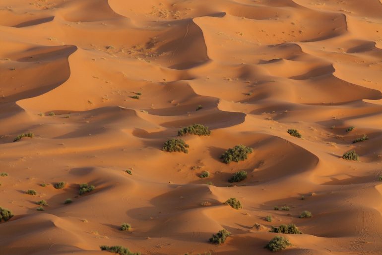 Merzouga, Sahara Camp, Camel Ride, high dunes, tour, view
