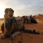 Merzouga, Sahara, Kamelreiten, Wüstentour