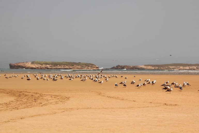 Oualidia Beach, Atlantic coast, Lagoon