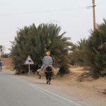 Rissani, Selbstfahrer Marokko