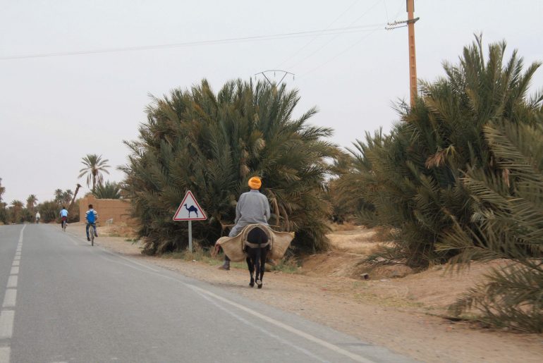 Rissani, Selbstfahrer Marokko