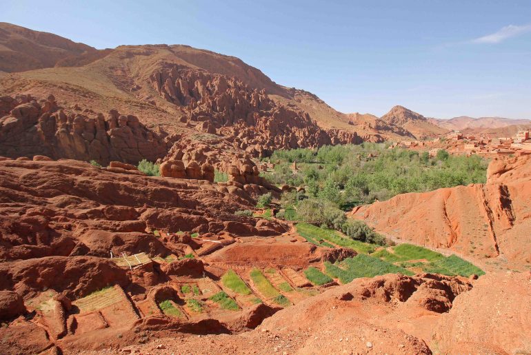 Dades Valley, Monkey fingers morocco, oasis, road trip