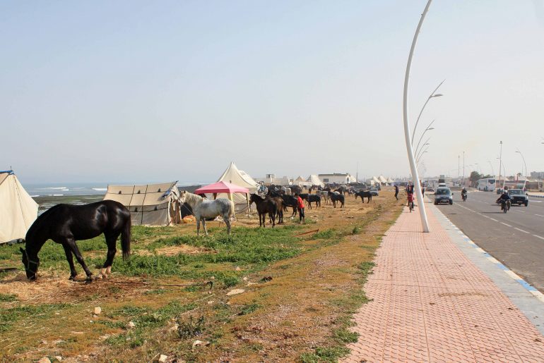 Atlantic Coast - horse market