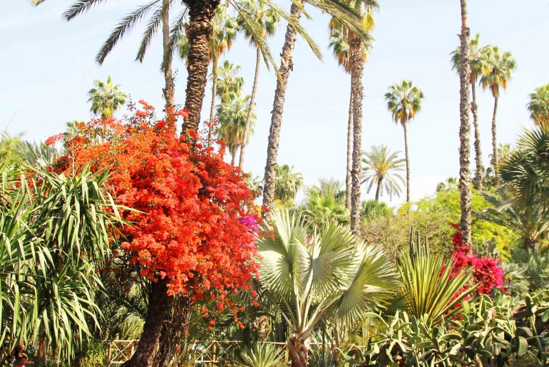 Majorelle Garden, Marrakech,