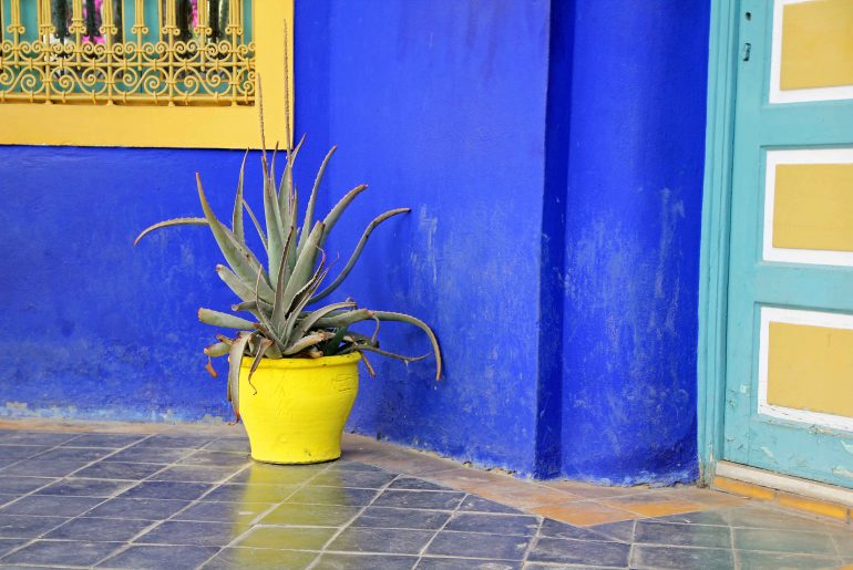 marrakech, morocco, sightseeing, city trip, travel, tourist attraction, jardin majorelle