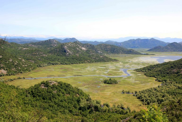 Skutarisee, Skadarsko Jezero, Montenegro