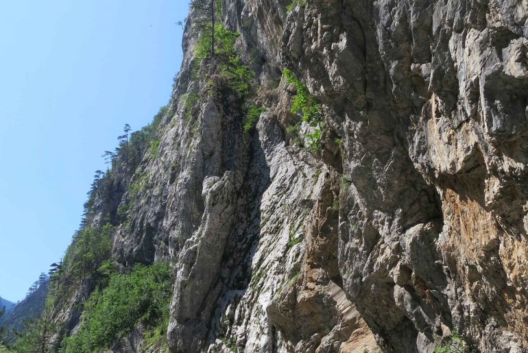 Tara River,Tara Canyon, Durmitor Nationalpark, road trip, nature