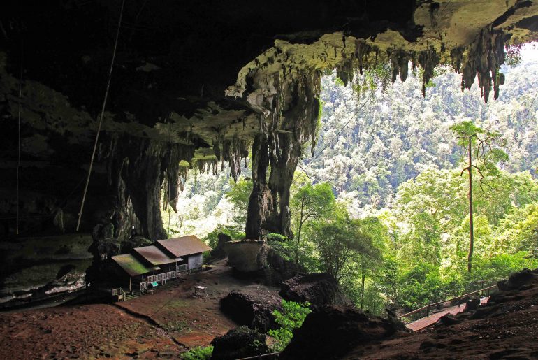Niah Caves, Sarawak, Miri, jungle trail, backpacking