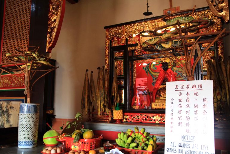 Penang Snake Temple, must see tourist attraction, Pulau Pinang