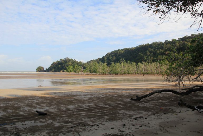 Bako Nationalpark, Sarawak, Rundreise