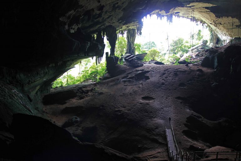 main cave niah, Miri, nature, jungle, Sarawak, caves, rainforest