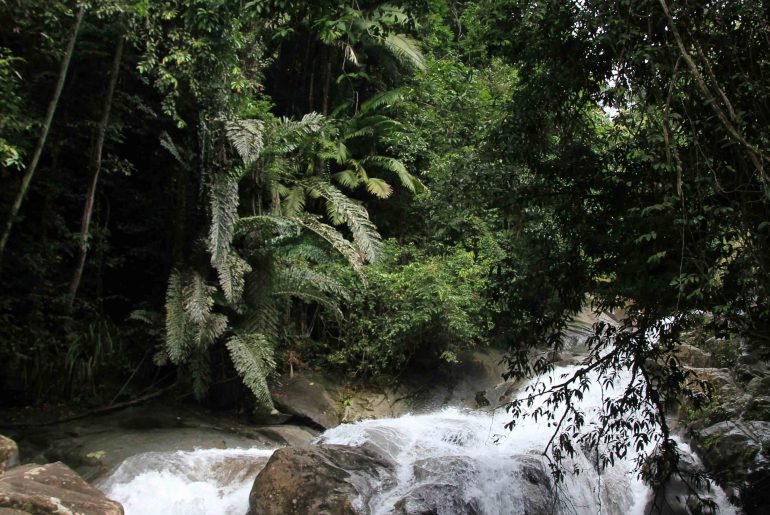 Waterfall, Gunung Gading, National Park, jungle, trail, nature,