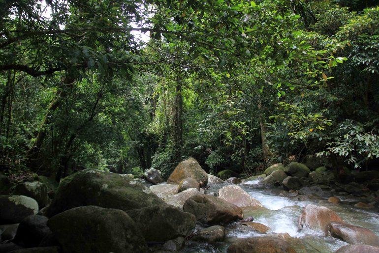 Waterfall, Gunung Gading, National Park, jungle, trail, nature,