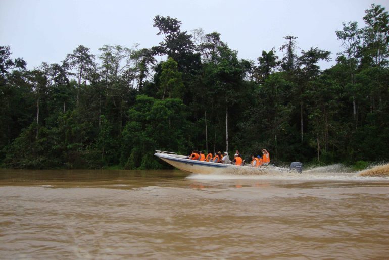 Borneo Rundreise, Kinabatangan River