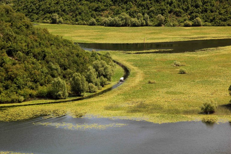 Montenegro, Skadarsko Jerzero, nature, must see, national park