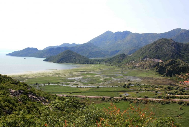 Montenegro, Skadarsko Jerzero, nature, must see, national park, tourist attraction