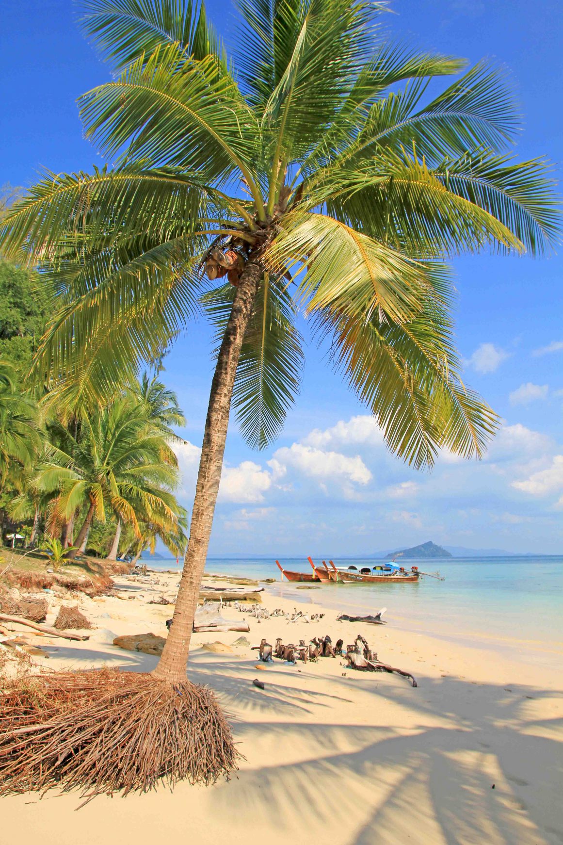 Ko Bulon Lae - Thailand © Jürgen Reichenpfader