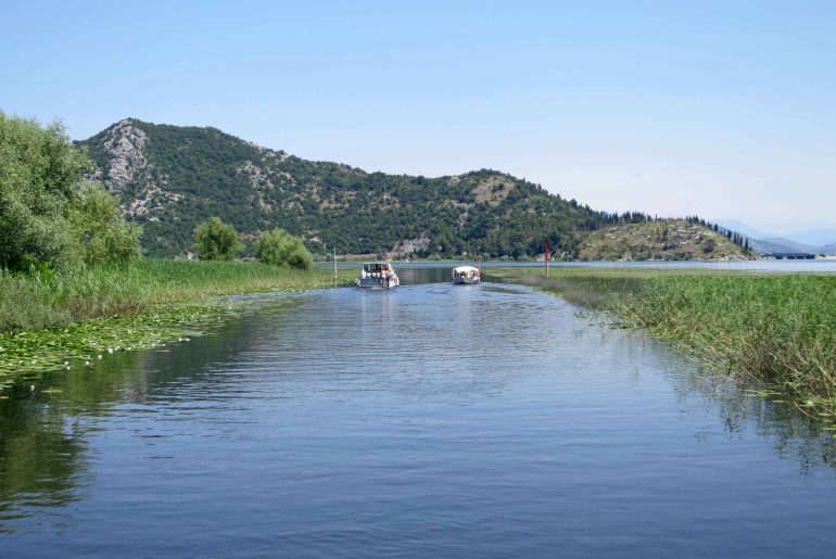 Virpazar, river, boat trip, nature, sight, lake, Skadersko Jerzero