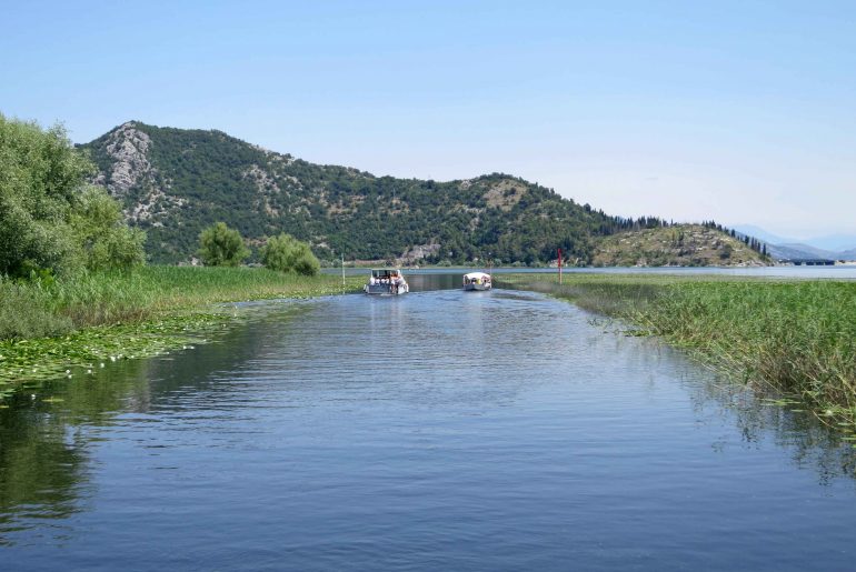 Montenegro, Skutarisee, Nationalpark, Virpazar, boot,