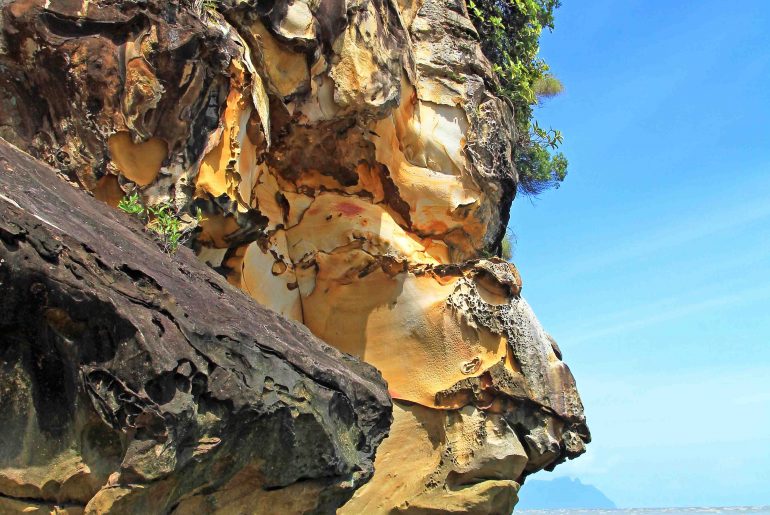 Borneo, Malaysia, beach, bako Park, nature, Sarawak, must see