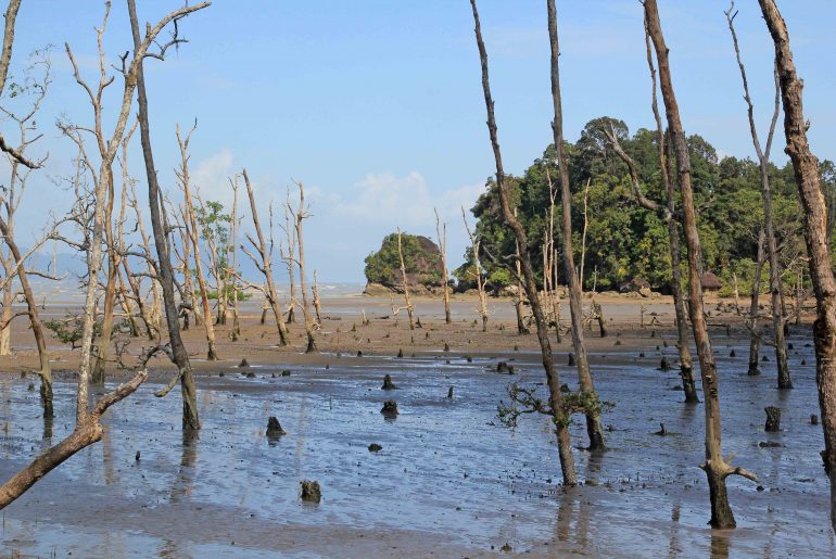 Malaysia, Sarawak, backpacking, travel, National park, beach, nature