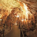 Postojna Cave, Slovenia
