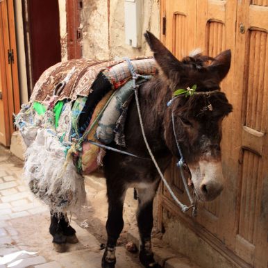 Fes - Marokko ©Jürgen Reichenpfader