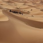 Kameltrekking, Wüstentour, Sahara, Marokko