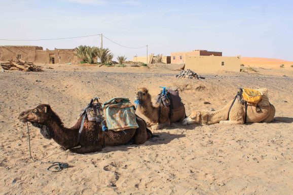 Merzouga - Wüstentour ©Jürgen Reichenpfader