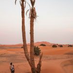 Sahara, Wüste,