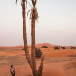 Merzouga, Erg Chebbi Desert, Sahara