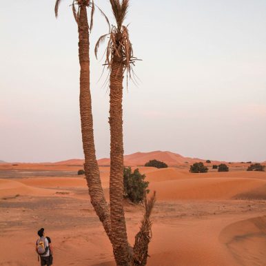 Merzouga - Wüstentour ©Jürgen Reichenpfader