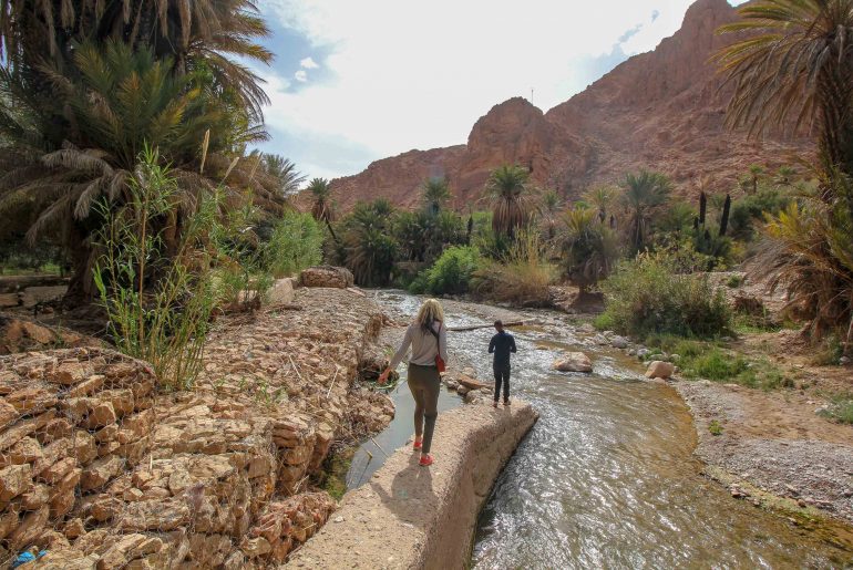 Oasis, Morocco, tour, inside the oasis,