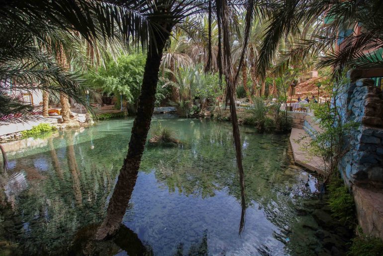 Oasis, Morocco, tour, inside the oasis,