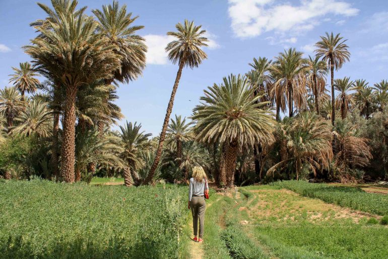 Oasis, Morocco, tour, inside the oasis,
