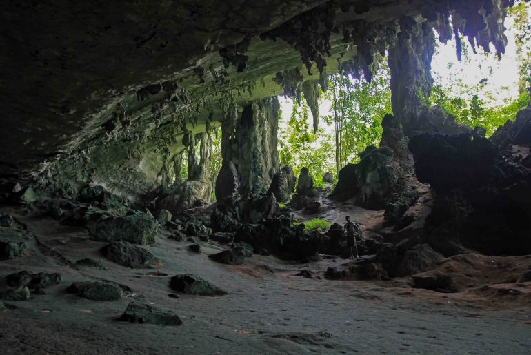 Niah Caves National Park, Malaysia, Borneo, Sarawak