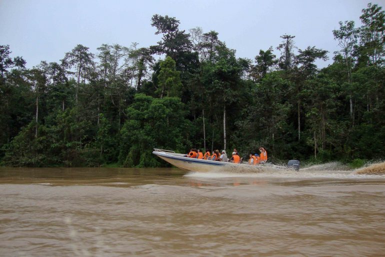 Kinabatagan River Cruise, Sabah, Borneo, river, boat tour