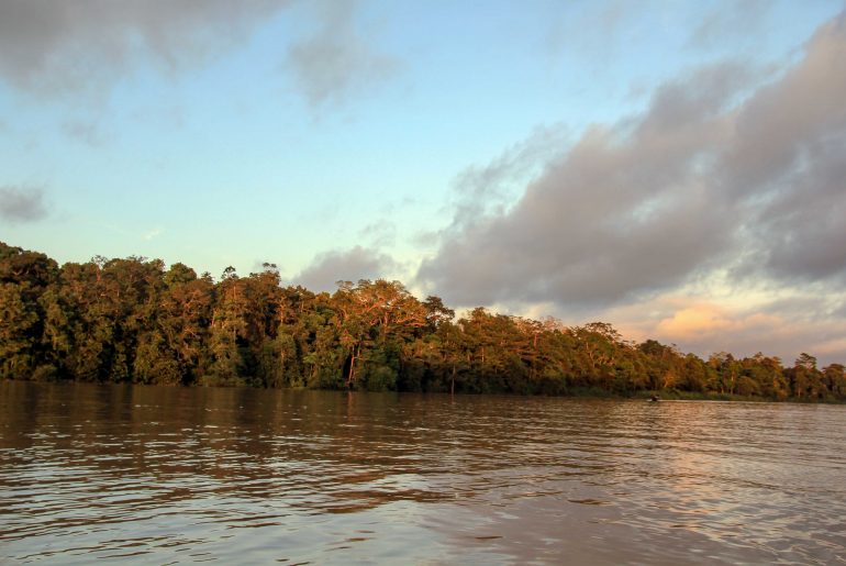 Kinabatangan River, Rainforest, Borneo, Sabah