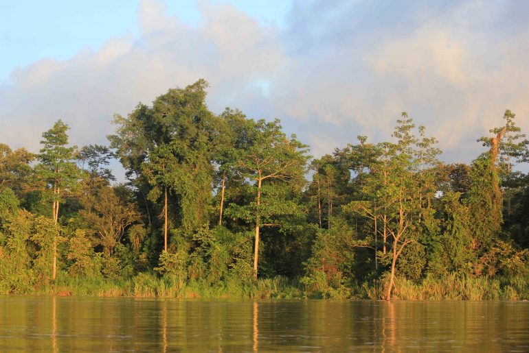 Kinabatangan River, Borneo, Tours, Sabah