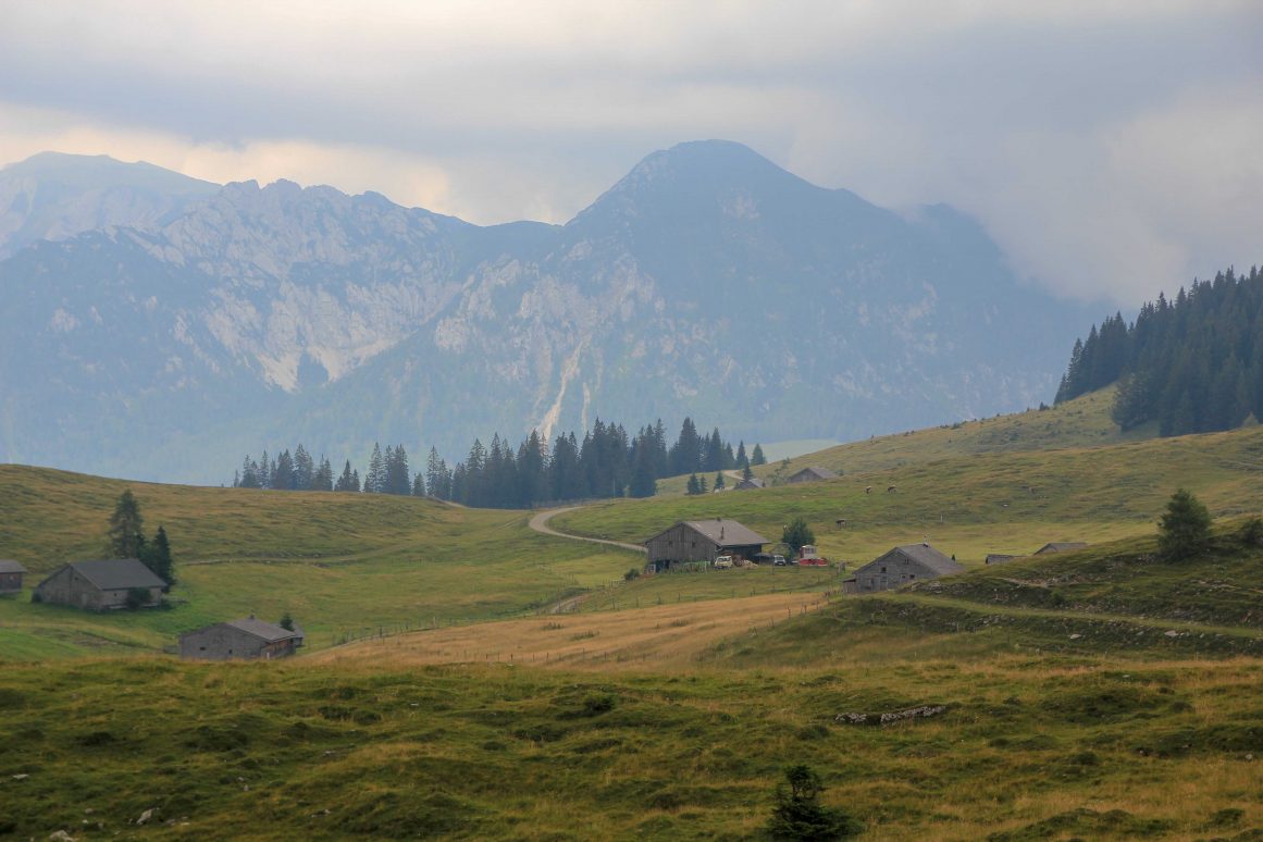 Postalm ©Jürgen Reichenpfader
